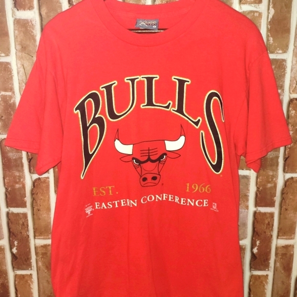 Vintage 90s (1996) Lee Sports Chicago Bulls tee size L - Picture 1 of 4